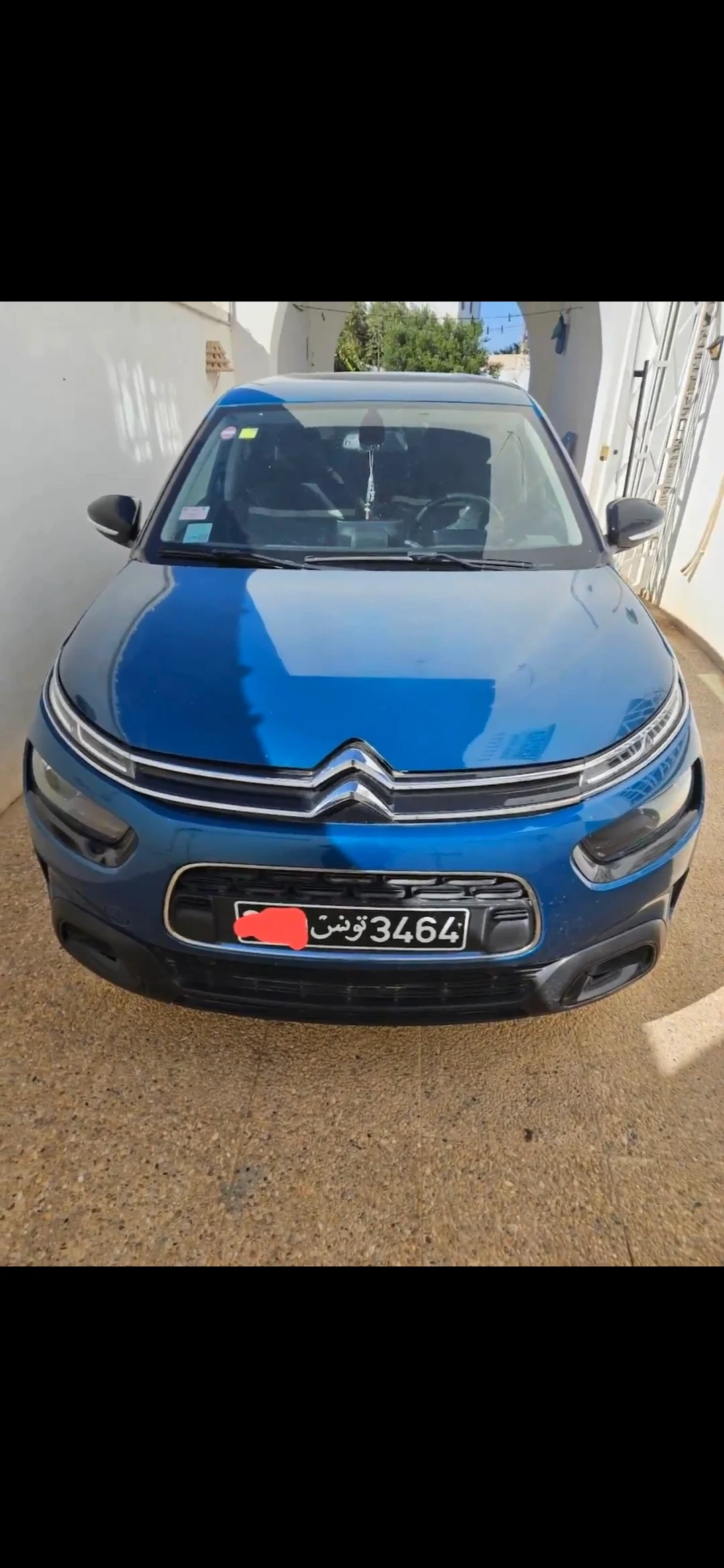 C4 cactus bon eta