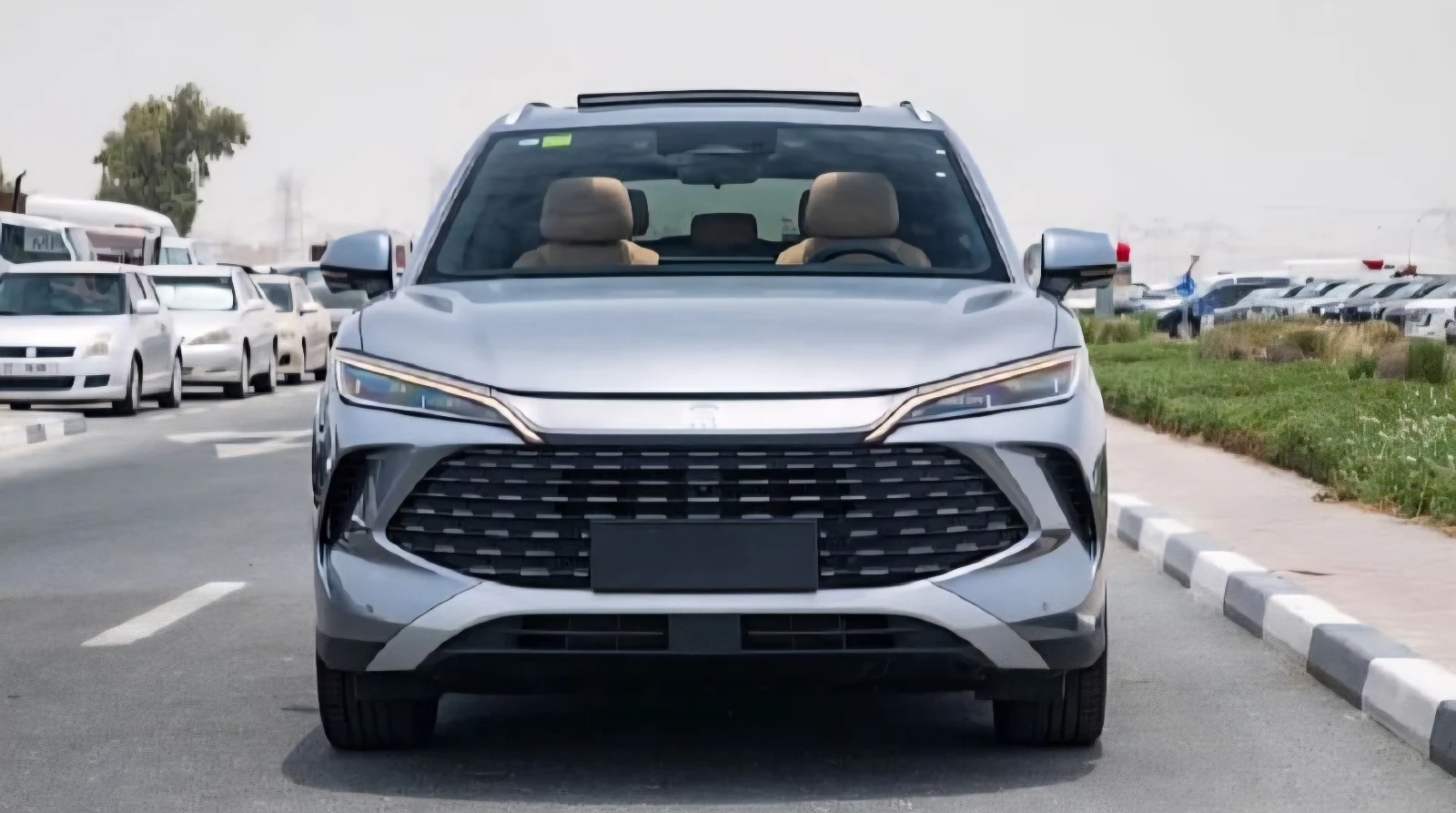 Byd song L 2025