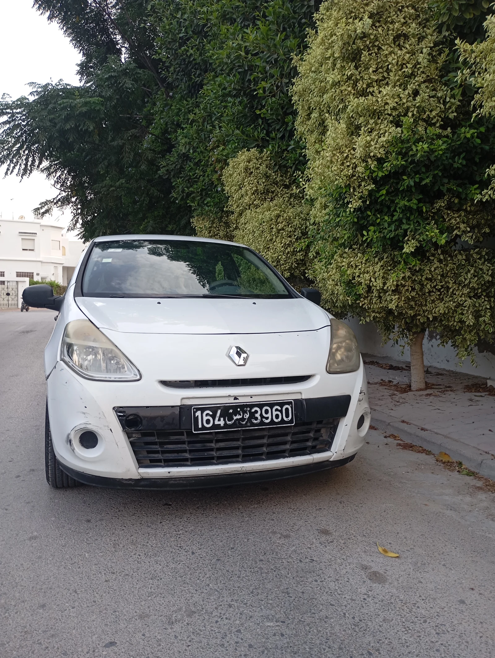 Clio